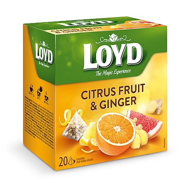 LOYD تي بگ هرمي مرکبات و زنجبيل 20 عددي